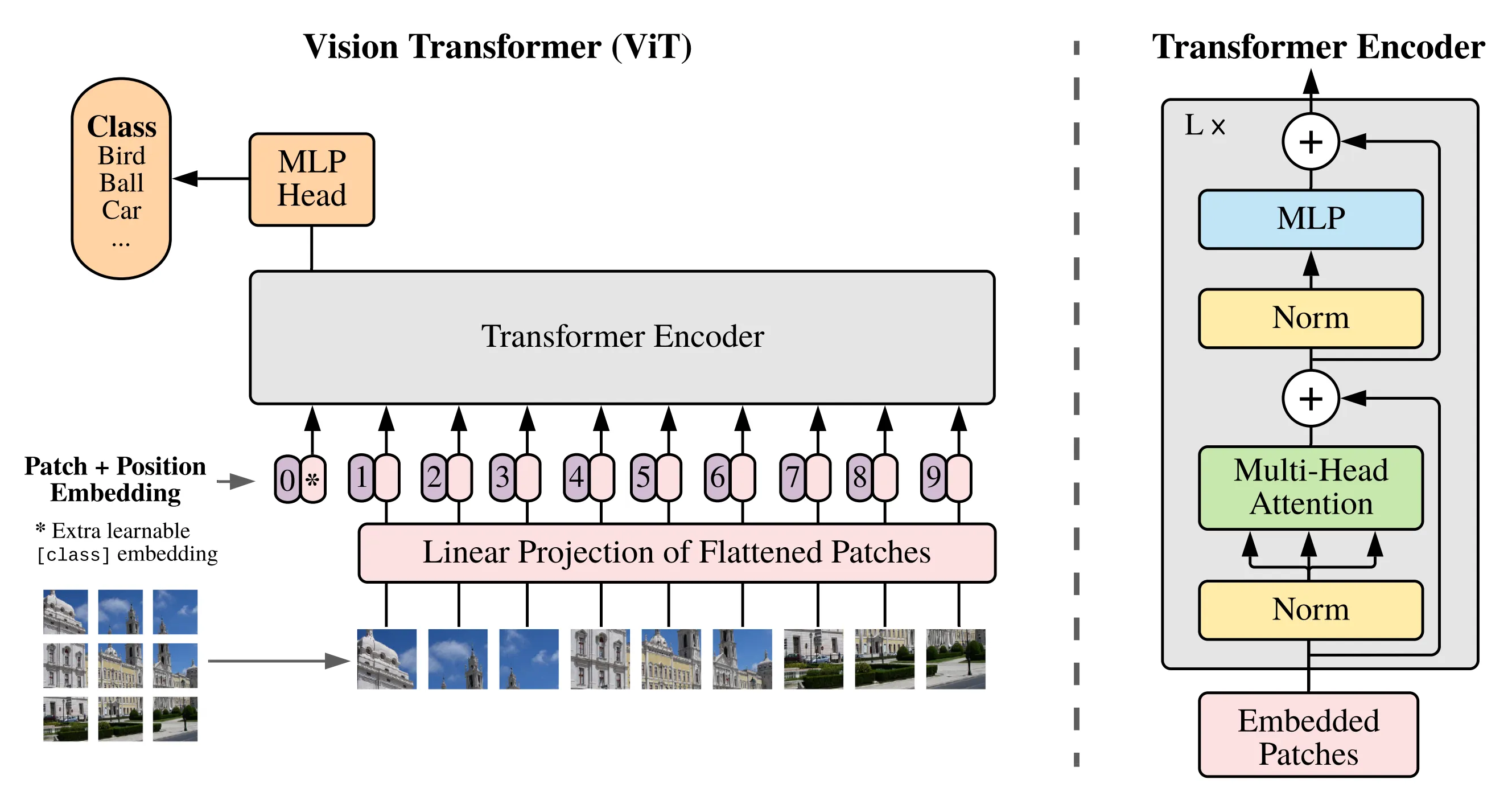 The Vision Transformer model.